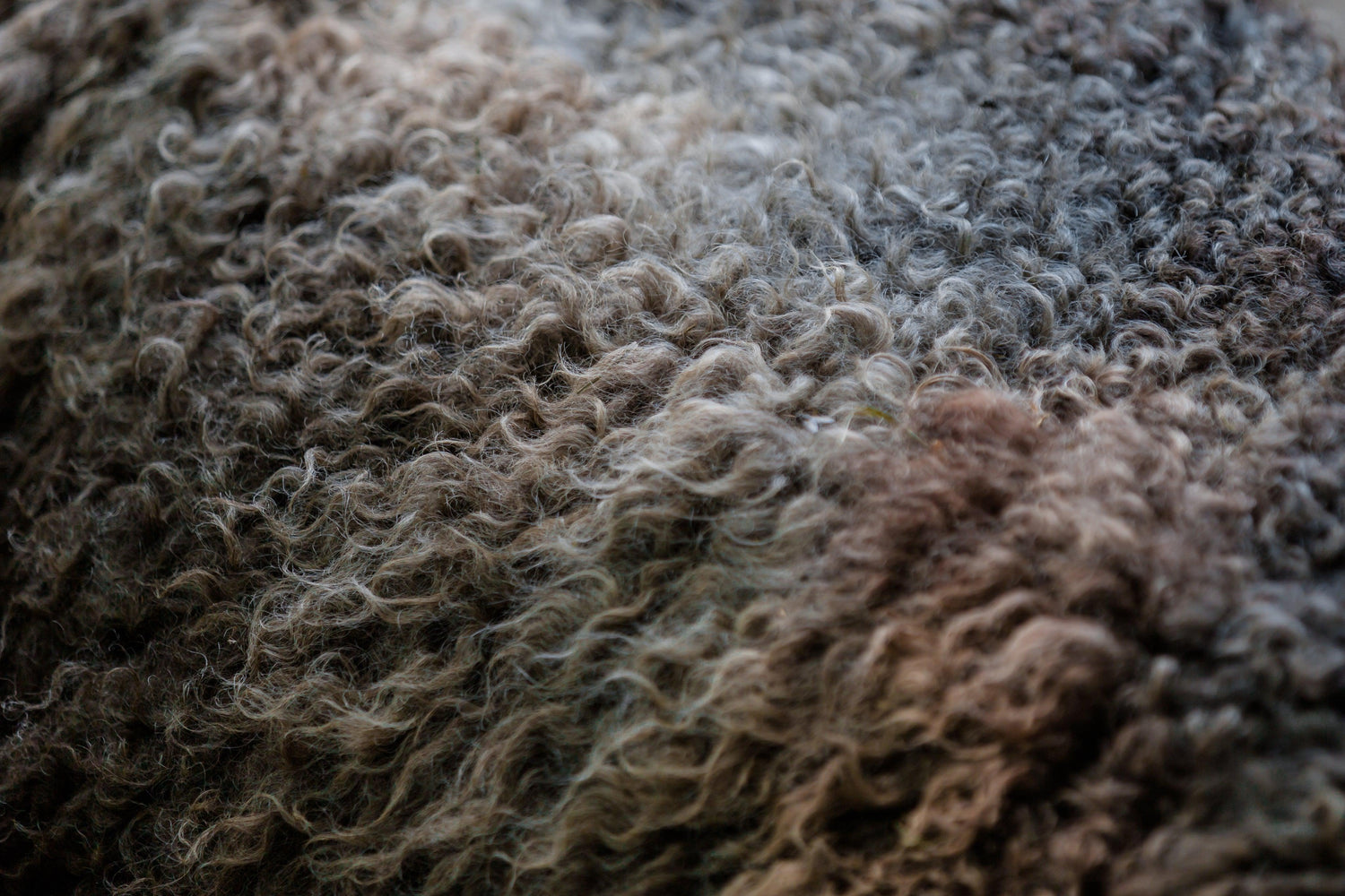 Goat hair fibers.